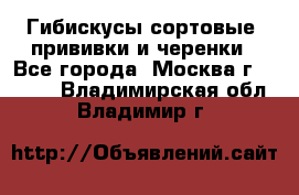 Гибискусы сортовые, прививки и черенки - Все города, Москва г.  »    . Владимирская обл.,Владимир г.
